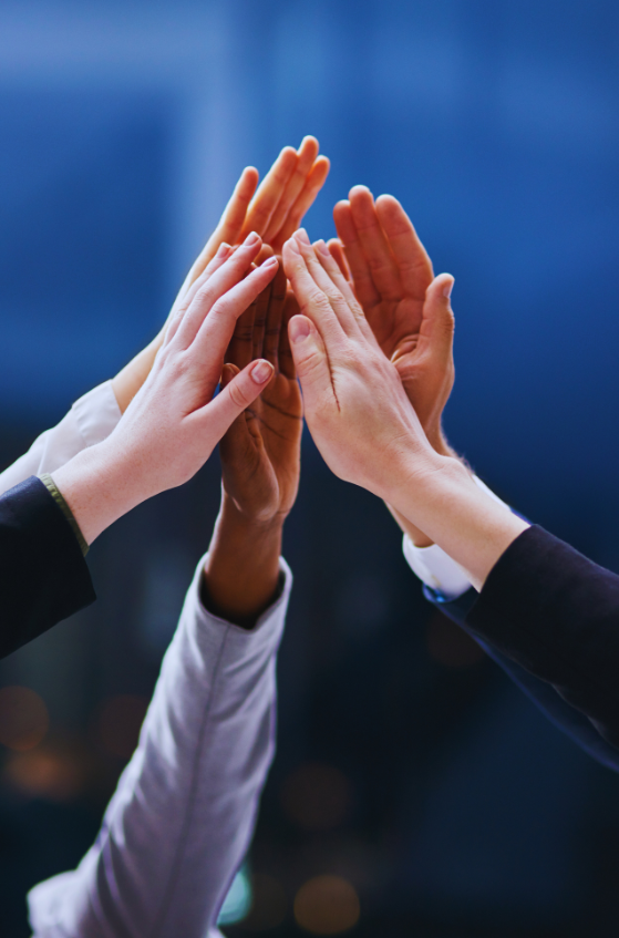 Diseño sin título (14)